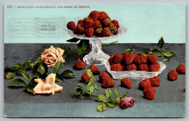 Midwinter Strawberries Roses Oregon OR Flowers Fruits Vintage WOB PM Postcard