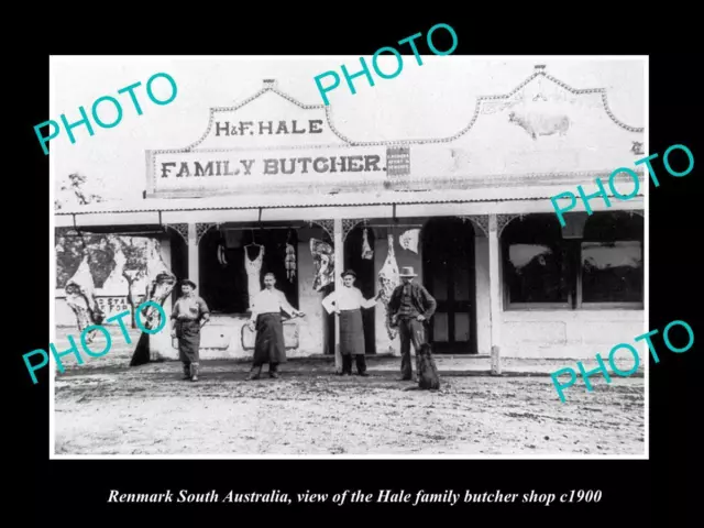 OLD LARGE HISTORIC PHOTO OF RENMARK SA VIEW OF THE HALE BUTCHER SHOP c1900