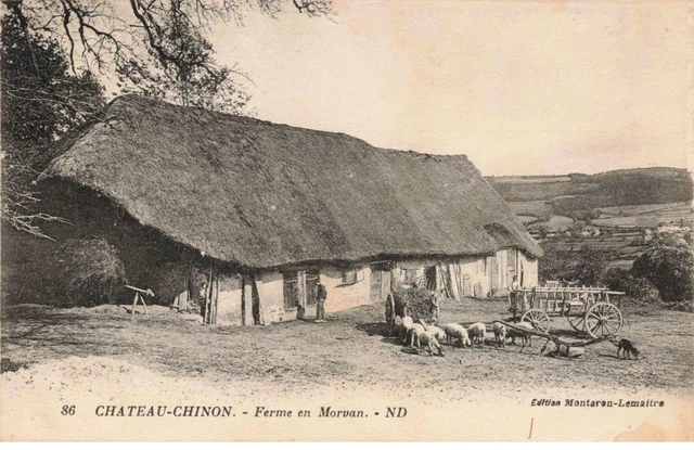 58 - CHATEAU CHINON - S03502 - Ferme du Morvan - Moutons - Agriculture - L1
