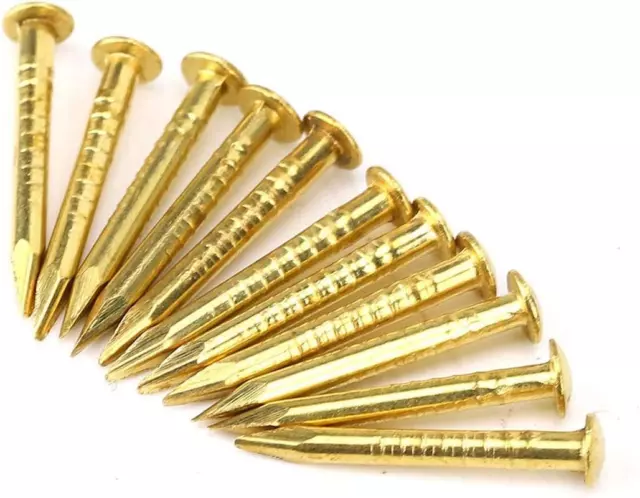 100Pcs Brass Escutcheon Tacks, round Head Brass Nail Furniture Hinge Hardware Ac