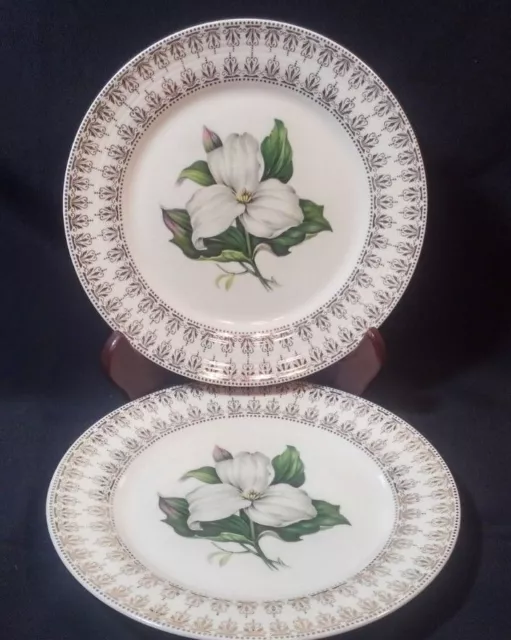 Vintage China. American Limoges TRILLIUM I-T S530 22k Gold Salad Plate.