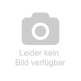 Praxis-Handbuch Innendämmung