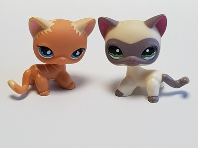 Lps Chat Europeen A Vendre Picclick Fr