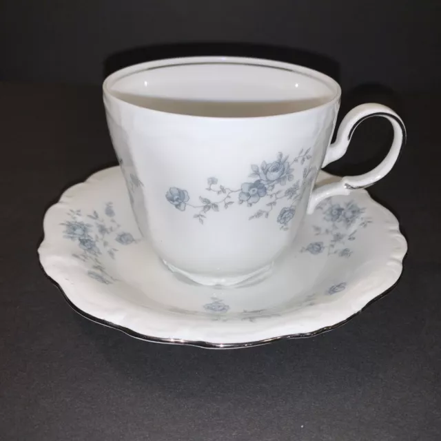 Johann Haviland Blue Garland China Bavaria Germany Tea Cup & Saucer Set