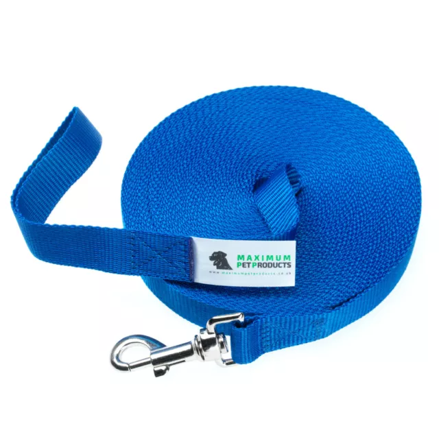 Dog Lead For Training, Tracking & Obedience Recall 100ft 30 Meter Blue