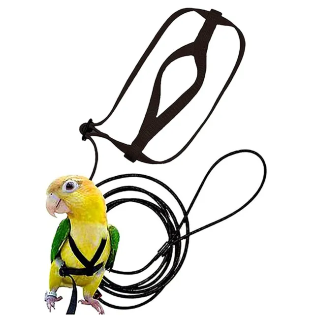 Accessorio essenziale per guinzaglio imbracatura pappagallo per allenamento e pa