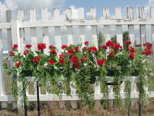 Caja de ventana de California geranios rojo seda arreglo helecho porche jardines de flores
