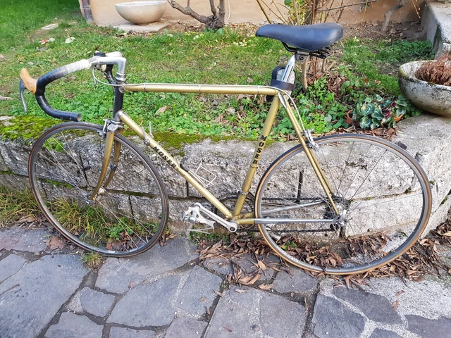 Biciclette e Telai MTB da Corsa e a Scatto Fisso Moser