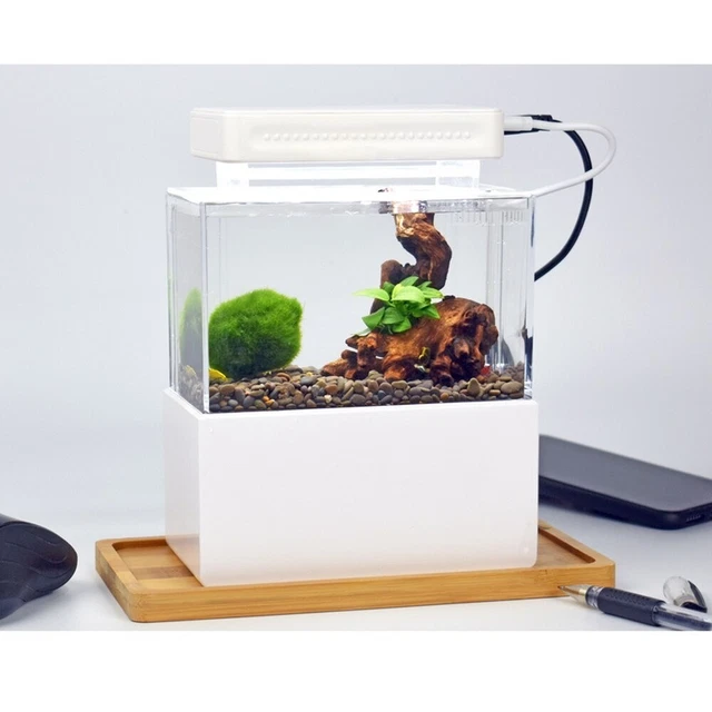 Mini Fish Aquarium Small Betta Fish Tank With Water Filter Desktop Decoration 2