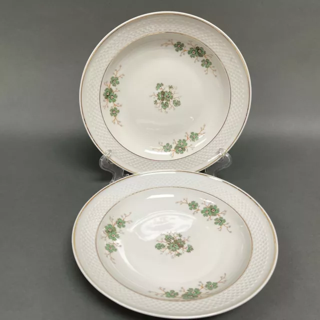 Thomas 7077 Germany Pasta Bowls Multicolor White Green Floral Gold Trim Lot of 2