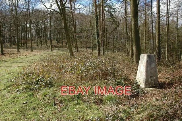 Photo  Trig Point On Burton Hill The Trig Point On Burton Hill Is Not Positioned