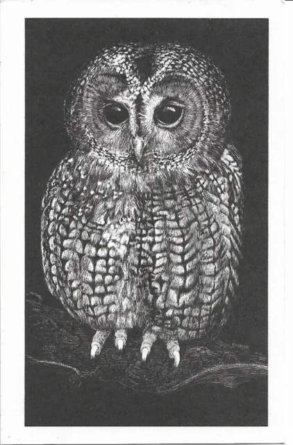 "Tawny Owl" - World Wildlife Fund Postcard