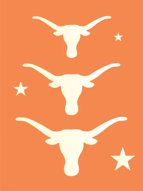 Stencils Joanie Texas Longhorn Western Bull Ranch Southwest Lone Star DIY Signs