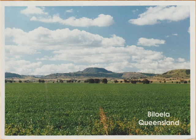 Farming Land Biloela Qld  178Mm X 126Mm  South Pacific Photo Postcard