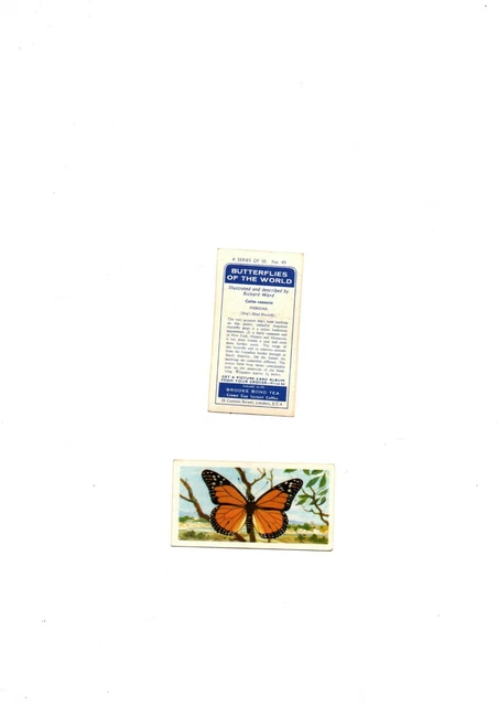 Butterflies Of The World Brooke Bond  Issue Full Set 50 Cards Vg Clean Cond