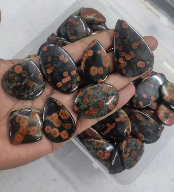 [Wholesale] Natural Peanut Obsidian  Good Quality Genuine Stone Free Form Lot 3