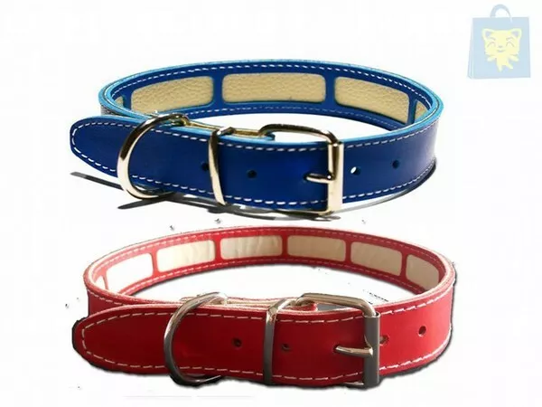 Collar perro cuero protector de collar antiparasitario
