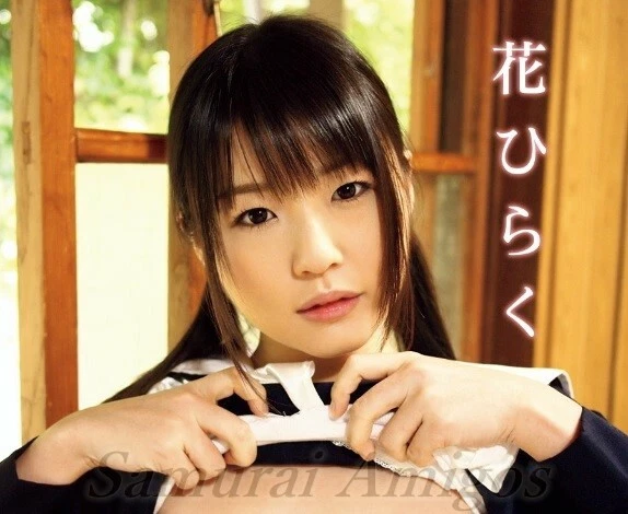 LIVRE PHOTO TSUBOMI : Hana Hiraku Japanese AV Idol (édition de poche