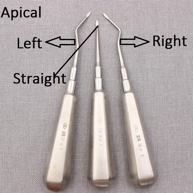 DENTAL SURGICAL APICAL Elevator Tooth Loosening Extraction Root