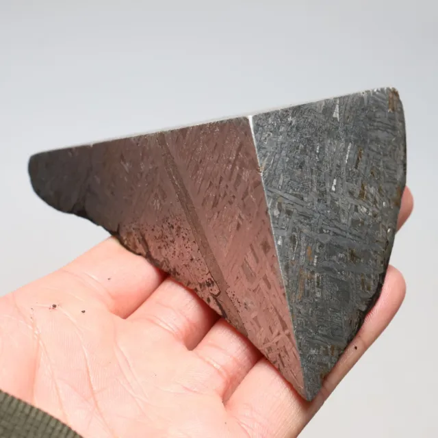 444g  Muonionalusta meteorite part slice C7380