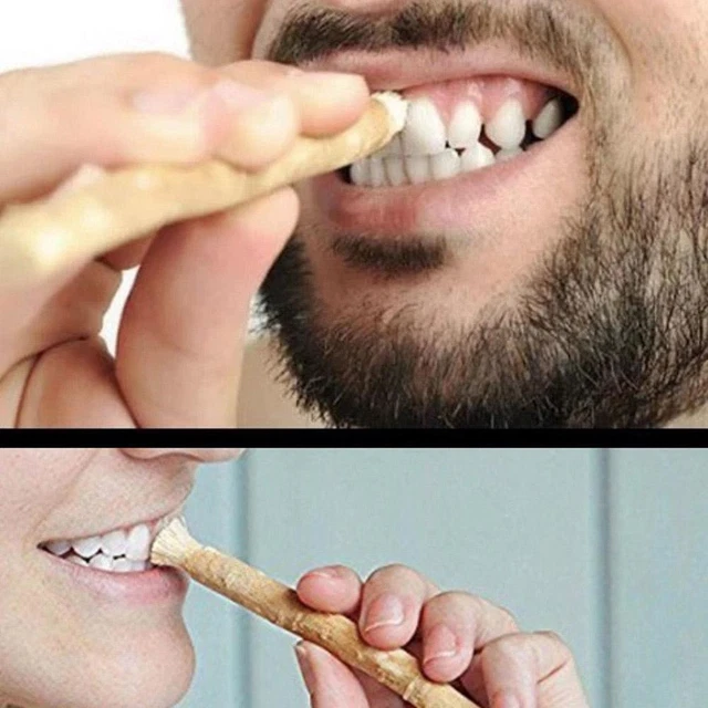 Miswak Natural Toothbrush - Pilu Miswak Chewing Stick Meswak Bulk
