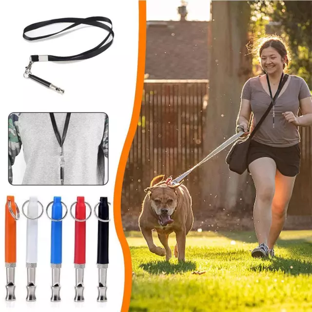 Metal ULTRASONIC Silent Recall DOG TRAINING WHISTLE STOP BARKING with H2M1