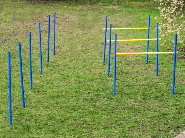 Hunde Agility Set B - Training Hundesport Hürden Slalom Stangen Blau Gelb