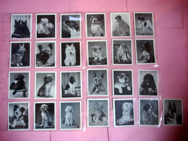 J.bibby (Trex) Card Set - Good Dog's 1955 - Full Set 25 Card's - Ex/Con.