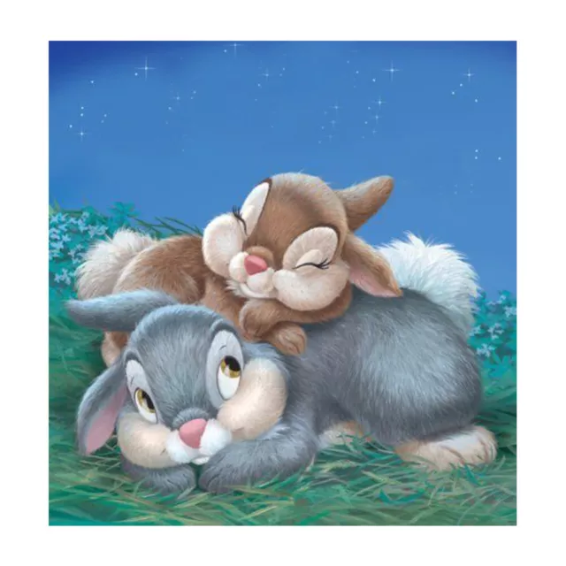 5D DIY Diamond Arts Kits Two Rabbits Diamond Mosaic Colorful for Home Wall Decor