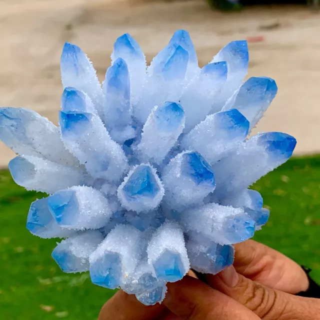 1.26LB New Find sky blue Phantom Quartz Crystal Cluster Mineral Specimen Healing