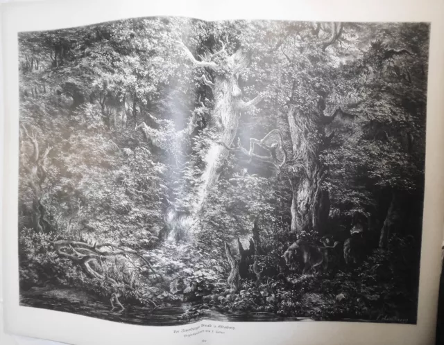 Le Neuenburger Urwald En Oldenburg Von F.Lindner - 1884 55.9x40.6cm, Original