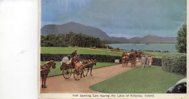 postcard Ireland  Irish Jaunting cars touring around lakes of Killarney