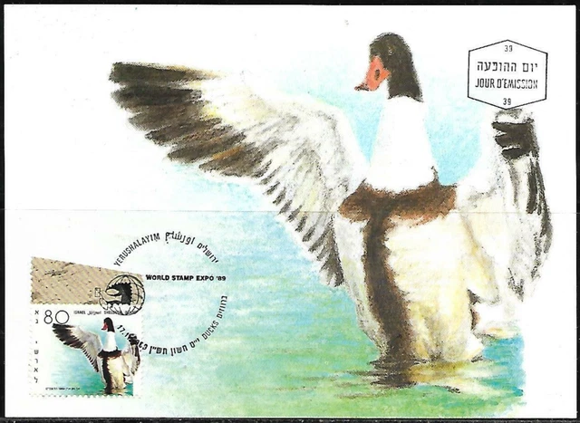 Israel 1989 Maximum Card Shelduck Ducks Of Israel