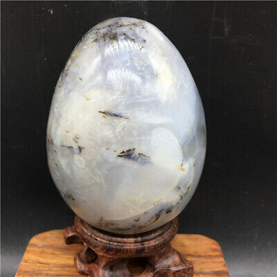 434g Beautiful natural agate geode gem crystal egg treatment scope +stand  U216