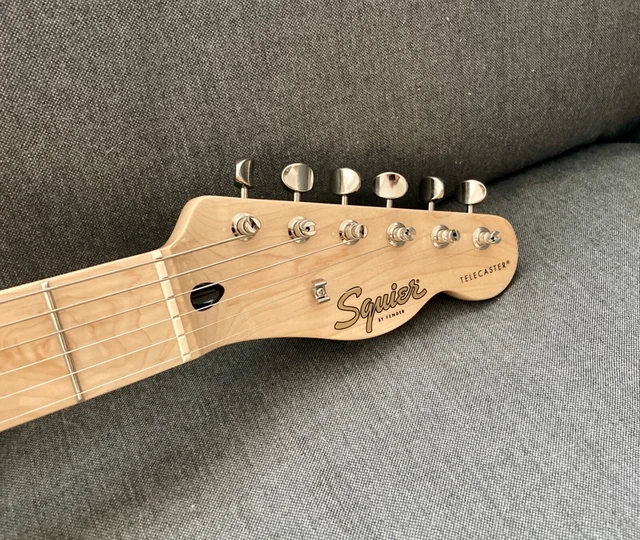 Squier Paranormal Cabronita (Telecaster Thinline) 3
