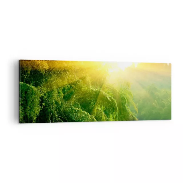 Canvas Print 140x50cm Wall Art Picture Tropics Trees River Large Framed Artwork
