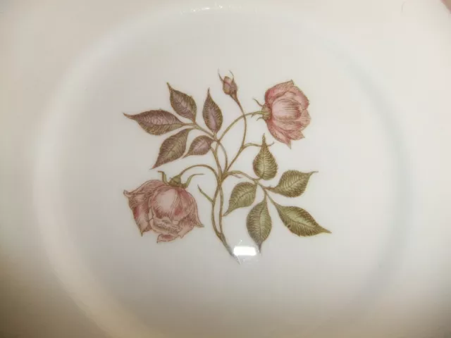 c4 Porcelain Bone China Wedgwood Group - Susie Cooper - Talisman C1139 - 3E5A 2