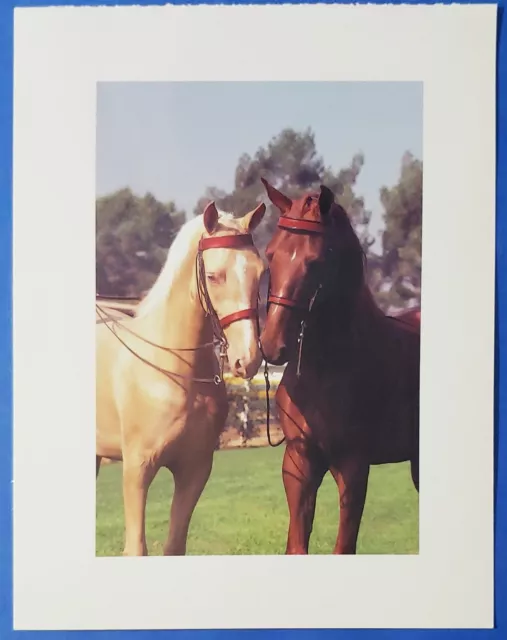 Postcard Palomino and Chestnut American Saddlebred Horses