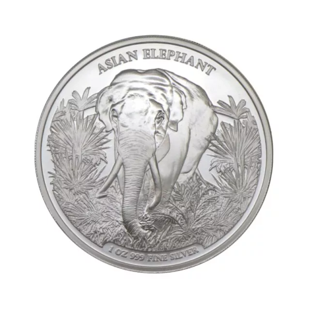 3000 Riels Asia Big Five - Asian Elephant - Elefant Kambodscha 1 oz Silber 2023