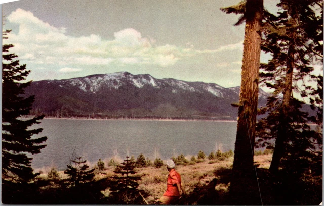 Plumas County California CA Lake Almanor Union Oil Postcard