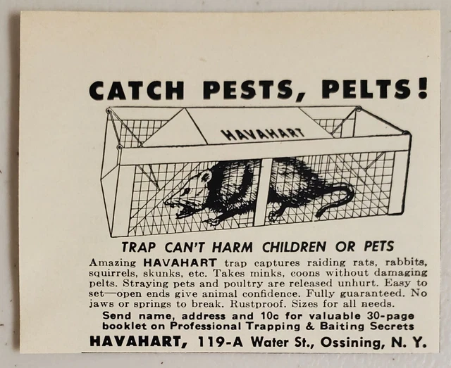 1954 Print Ad Havahart Animal Traps Can't Harm Children or Pets Ossining,NY