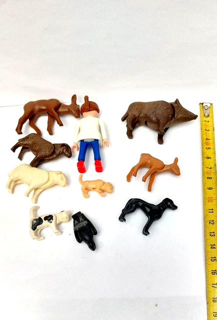 Ensemble D'animaux De La Forêt Ours Renard Cerf Et Lapin écureuil