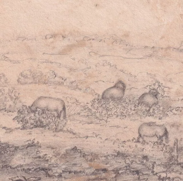Landscape scene rural cattle pencil drawing antique 19th century English School