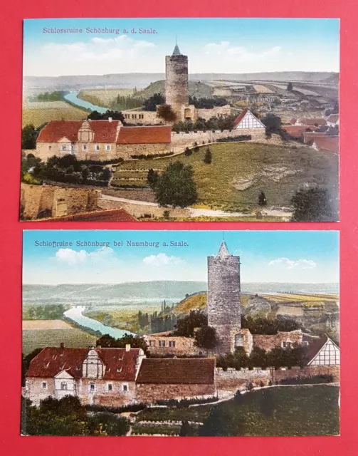 2 x AK NAUMBURG Saale um 1914 Schloss Ruine Schönburg    ( 29971