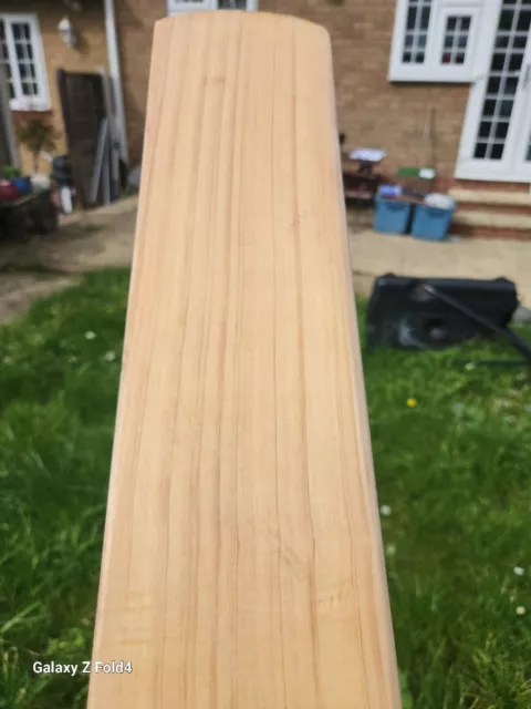 ca cricket bat senior