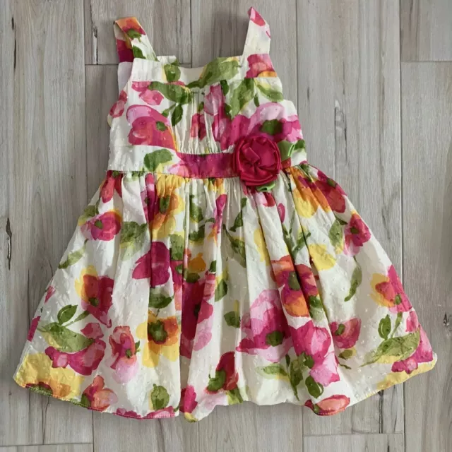 Beautiful Sweet Home Rose Baby Girls Pink Floral Spring Dress 24 Months