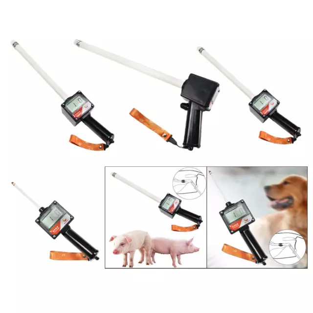 Test for Dogs Machine Artificial Insemination Ovulations Test Veterinary