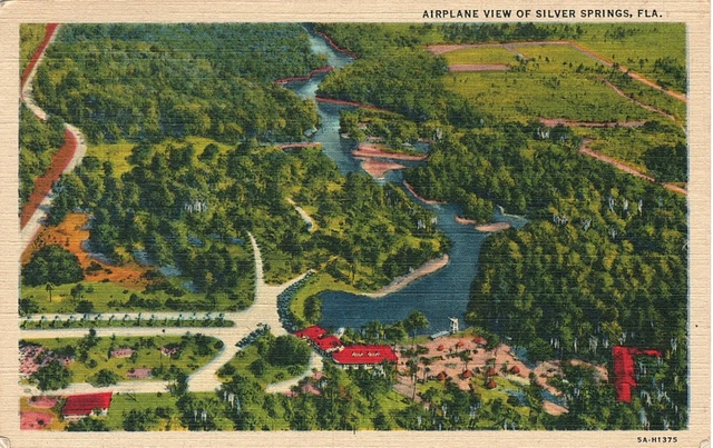 Vintage Postcard Airplane View of Silver Springs FLORIDA 1947