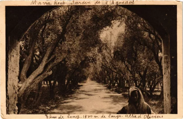 CPA Maroc MARRAKECH - Jardin de l'Aguedal (219604)