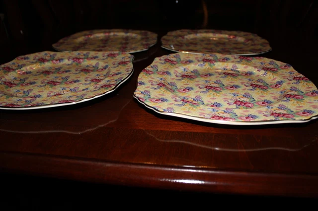 4 Royal Winton Grimwades Welbeck Vintage 1995 Chintz Dinner Plates 7